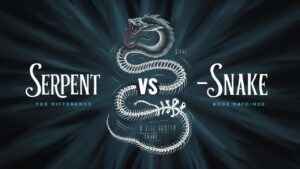 Serpent vs. Snake