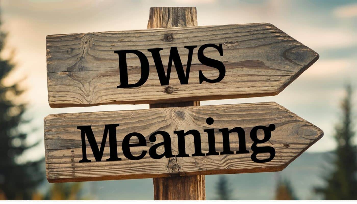 DWS Meaning: